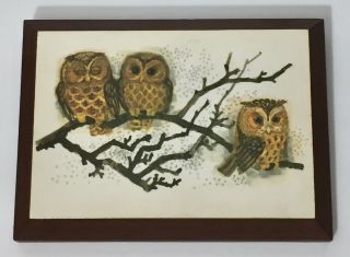 Vintage Marcel Schurman Co San Francisco Wood Owl Wall Plaque Hanging 6.  5x4.  75”