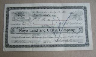 Old Vintage 1901 Noyo Land And Cattle Co - Stock Certificate - San Francisco Ca.