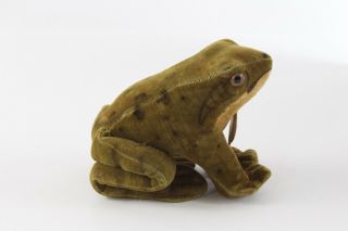 Vintage Steiff Froggy The Frog Sitting Velvet 4” Long w/ Tag ca 1960s 2