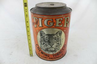Vintage Bright Tiger Metal Tobacco Tin Litho General Store Counter Display Rare