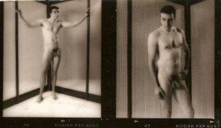 Vintage Male Nude - 1980 