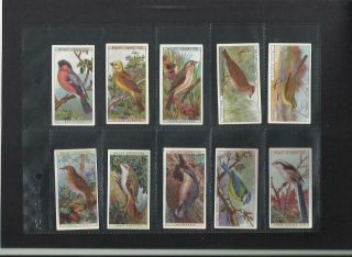 (al1) 105 Yr Old Full Set Of 50 Wills British Birds Cigarette Cards 1915