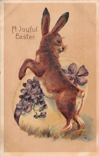 Easter Greetings Rabbit With Egg And Purple Flowers Pfb Vintage Postcard Aa17460