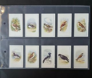Cigarette Cards - P.  J.  Carroll & Company - Birds - Full Set 25 - Vg - Ex