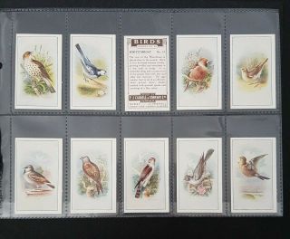 Cigarette Cards - P.  J.  Carroll & Company - Birds - Full Set 25 - VG - EX 2