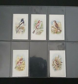 Cigarette Cards - P.  J.  Carroll & Company - Birds - Full Set 25 - VG - EX 3