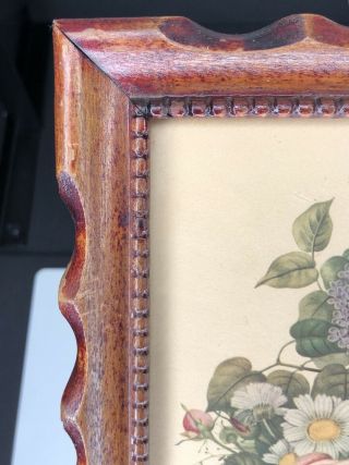 J L Prevost Floral Botanical Lithograph Print Carved Wood Frame Vtg 1930s 3
