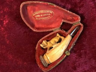 Vintage Meerschaum Carved Dog Pipe With Case Made In Austria