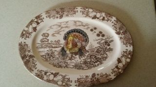Vintage Turkey Platter Made In Japan16x12