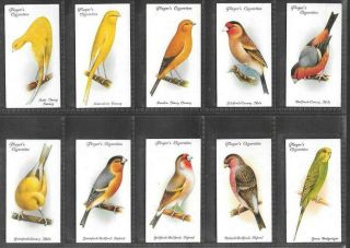 PLAYER 1933 INTERESTING (BIRDS) FULL 50 CARD SET  AVIARY & CAGE BIRDS 2