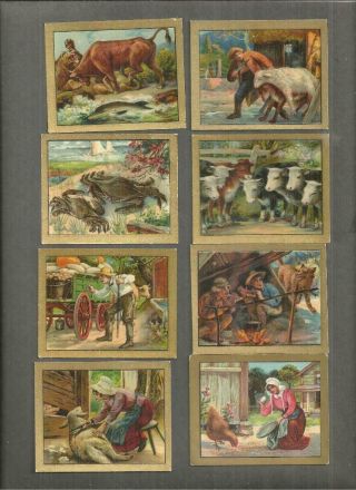 1890 Tobacco Cards Fable Series Turkish Trophies Cigarettes 24 Cards & Duplicate