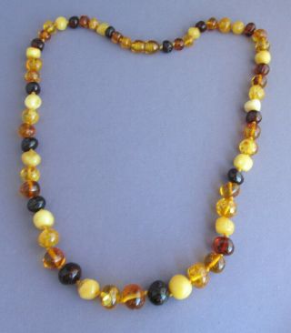 Vintage Natural Knot Tri Color Baltic Egg Yolk Amber Semi Round Bead Necklace