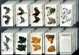 Tobacco Card Set,  John Player,  Poultry,  Hen,  Chicken,  Rooster Etc,  1931