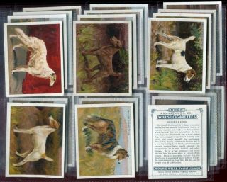 Tobacco Card Set,  Wd & Ho Wills,  Dogs,  Dog Breeds,  Large,  1st Series,  1914
