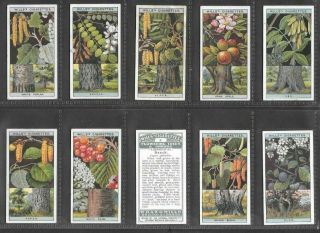 Wills 1924 (trees & Shrubs) Full 50 Card Set  Flowering Trees & Shrubs