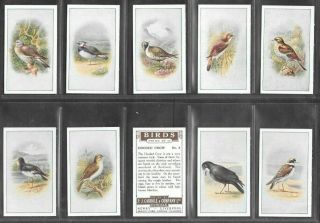 P.  J.  Carroll 1939 Intriguing (birds) Full 25 Card Set  Birds