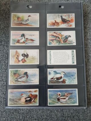Cigarette Cards - Players - Game Birds & Wild Fowl - Full Set 50 - Vg