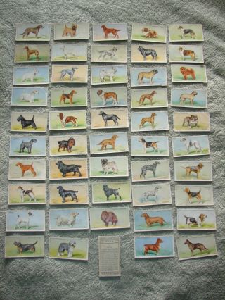 1937 " Dogs " British Cigarette Card Set (50 Cards) - W.  D.  & H.  O.  Wills.