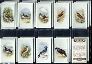 Tobacco Card Set,  P J Carroll,  Birds,  Ornithology,  Bird Pictures,  Twitcher,  1939