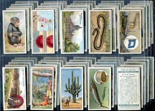 Tobacco Card Set,  Wd & Ho Wills,  Do You Know,  Interesting Facts,  4th Series,  1933