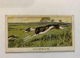 1925 Turf Cigarettes Waterloo Cup Sport Records 22 Greyhound Coursing Fullerton