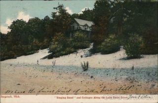 1907 Saugatuck,  Mi " Singing Sand " And Cottages Along The Lake Shore Drive Vintage