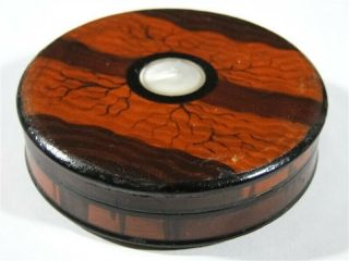 Rare Antique Old Paint Wood Branch Decorated Mother Of Pearl Insert Snuff Box