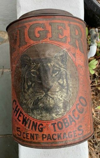 Antique Rare Tiger Chewing Tobacco 5 Cent Packages Large Tin Canister