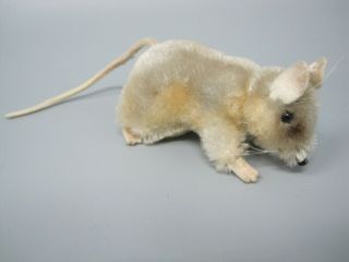 Vintage Steiff Mohair Mouse W Black Eyes,  3 ",  Germany