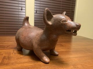Large Pre - Columbian Colima Dog,  Southern Mexico,  Tomb Culture - 100bce To 250ce