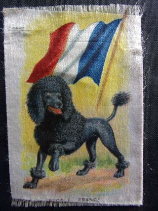 French Poodle Dog Antique Cigarette Silk,  Matted,  Ready To Frame 1900 