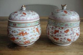 Pair Chinese Famille Rose Iron Red Bat Cup Warmers & Cups Guangxu Mark 19 / 20 C