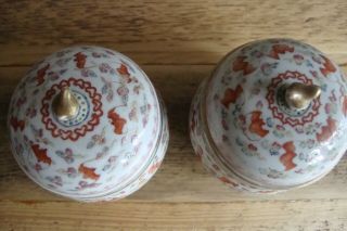 Pair Chinese Famille Rose Iron Red Bat Cup Warmers & Cups Guangxu Mark 19 / 20 c 2