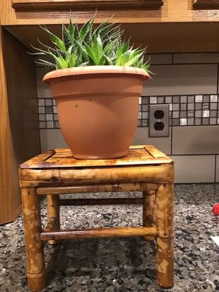 Vintage 1970’s Rattan Wicker Bamboo Plant Stand Table Top Display 9”x8”