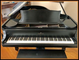 Steinway Baby Grand Piano 6