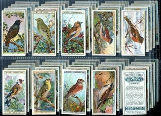 Tobacco Card Set,  Wd & Ho Wills,  British Birds,  Ornithology,  Twitcher,  1915