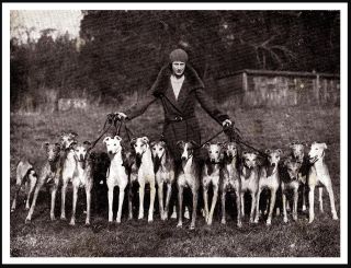 Lady And Sixteen Greyhound Dogs Great Vintage Style Image Dog Print Poster