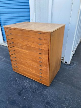 Vintage 12 Drawer Wood Flat File Blueprint Cabinet 41 " W