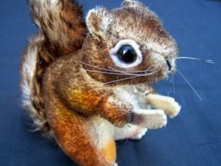 Vintage Steiff Perri Squirrel With Button And Tag In The Ear
