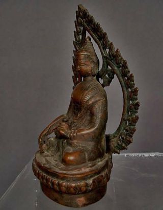 Antique Nepalese or Tibetan Bronze Figure of Buddha Tibet 15th - 18th century 4
