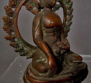 Antique Nepalese or Tibetan Bronze Figure of Buddha Tibet 15th - 18th century 5