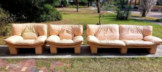 Nicoletti Salotti Leather Vintage Club Chairs