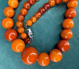 TIBETAN CHINESE ROUND ANTIQUE BUTTERSCOTCH BALTIC AMBER BEADS NECKLACE 26 GRAMS 2