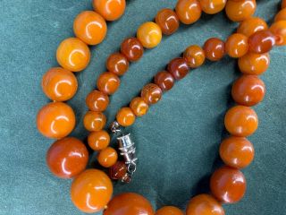 TIBETAN CHINESE ROUND ANTIQUE BUTTERSCOTCH BALTIC AMBER BEADS NECKLACE 26 GRAMS 4