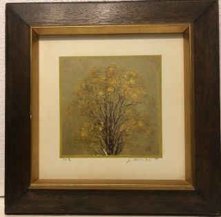 Vintage Joichi Hoshi 1977 Japanese Woodblock Tree Print 6.  25” X 6.  25”