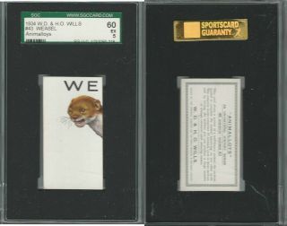 W62 - 110 W.  D.  & H.  O.  Wills,  Animalloys,  1934,  43 Weasel,  Sgc 60 Ex