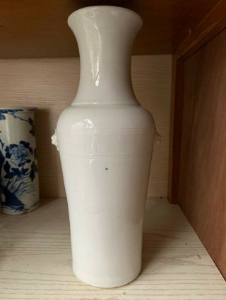 Antique Chinese White - Glazed Porcelain Carving Lions Vase 19c