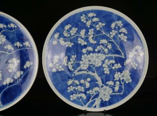 2 x LARGE Antique Chinese Blue and White Porcelain Prunus Charger KANGXI 19th C 2