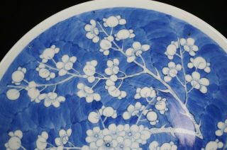 2 x LARGE Antique Chinese Blue and White Porcelain Prunus Charger KANGXI 19th C 4