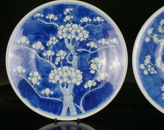 2 x LARGE Antique Chinese Blue and White Porcelain Prunus Charger KANGXI 19th C 5